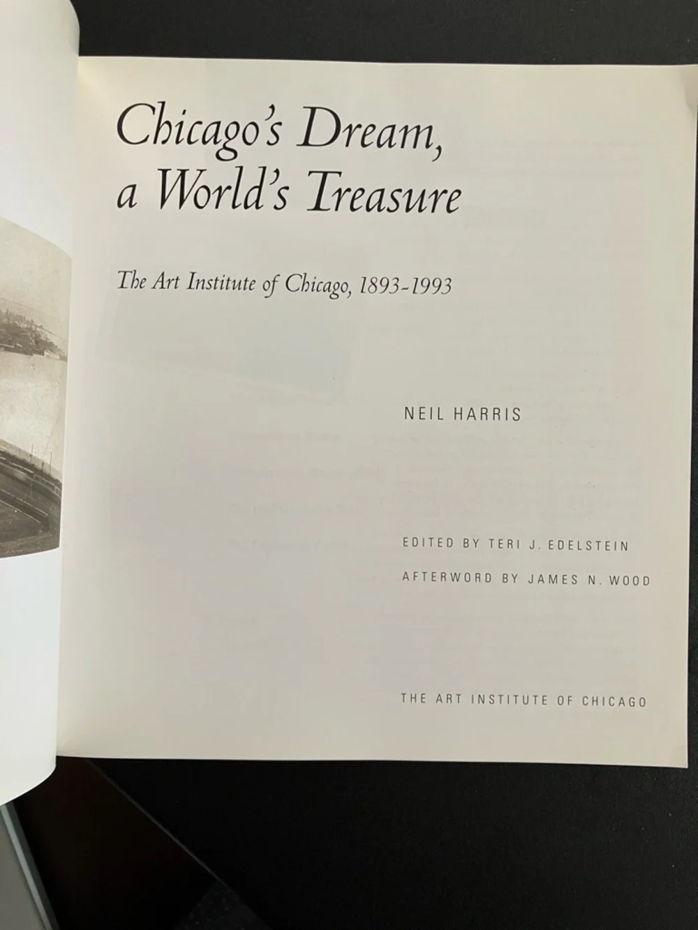 Chicago Art & Photography Bundle 2 Paperback Books City History Memorabilia